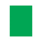 A green Double Matte Sleeve. Brand: Legion Supplies, Item: Double Matte Green Sleeve.