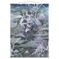 A wall scroll featuring art from Magic The Gathering's Mystical Archive. Brand: Ultra PRO, Item: Eliminate Mystical Archive Wall Scroll