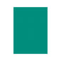 A Teal Double Matte Sleeve. Brand: Legion Supplies, Item: Double Matte Teal Sleeve.