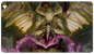 A black Magic: The Gathering playmat featuring artwork from Commander Masters Demonic Tutor, with a sorceress casting a spell from a book, guarded by a demonic entity. Brand: Ultra PRO, Item: Commander Masters Demonic Tutor Black Standard Gaming Playmat.