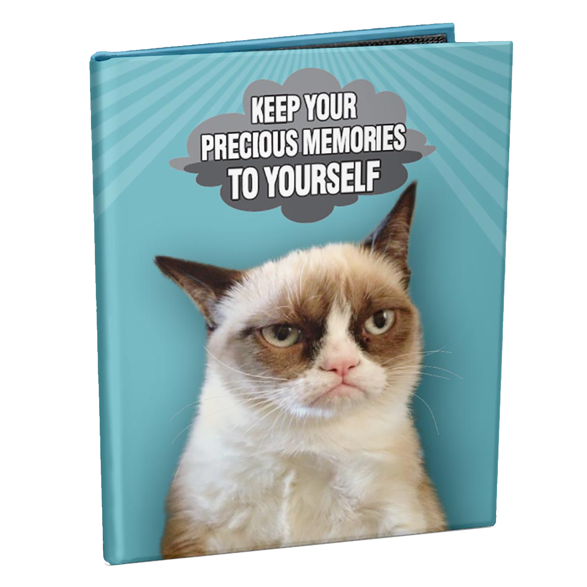 A blue Grumpy Cat photo album by Ultra PRO. Item: Grumpy Cat Memories Mini Photo Album for 4" x 6" Prints with Sticker Sheets.