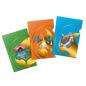 A set of three Ultra PRO Pokemon Tournament Folios featuring Charizard, Blastoise, and Venusaur.