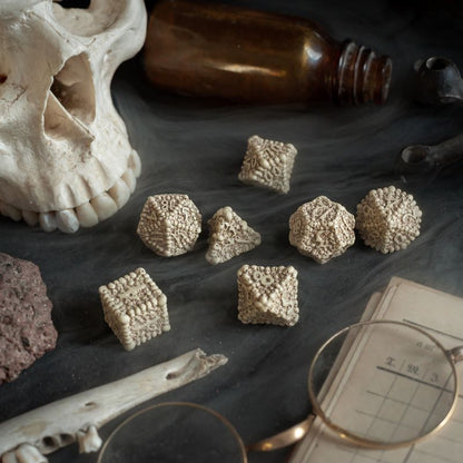 Q-Workshop Dice Macabre Set – beige resin with brown wash RPG dice – Flip Tap Win TCG, Saline MI